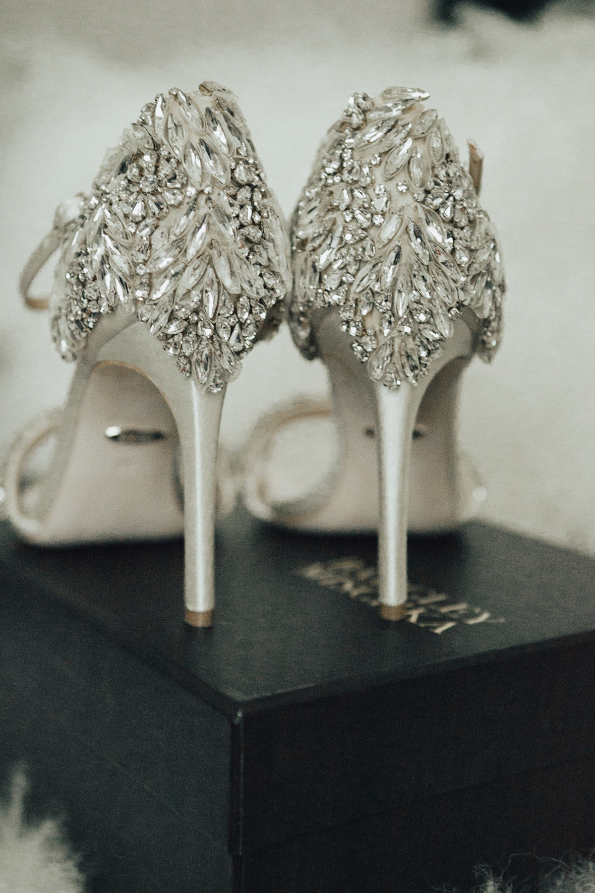 Blogger Sage Coralli of So Sage Blog asks her bridesmaids by giving them a pair of Badgley Mischka Heels